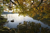 Biosphoto | 1247163 | Lac du Grand Maclu en automne Jura France | &copy; Michel Loup / Biosphoto
