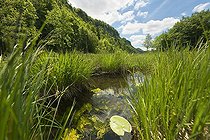 Biosphoto | 1240196 | Lac du Grand Maclu Jura France | &copy; Michel Loup / Biosphoto