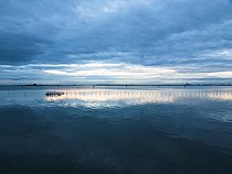 Biosphoto | 2547084 | Lagune de Venise, Italie | &copy; David Tatin / Biosphoto