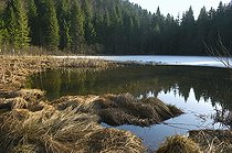 Biosphoto | 1249045 | Lake Assencière in winter Jura France | &copy; Michel Loup / Biosphoto