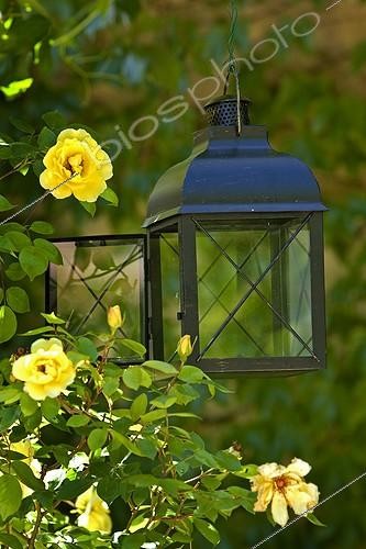 Biosphoto | 1113178 | Lamp of garden in Provence France  | &copy; Michel Gunther / Biosphoto