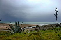 Biosphoto | 1249672 | Landscape of the Coromandel Peninsula on the North Island | &copy; Michel Rauch / Biosphoto