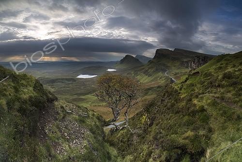 Biosphoto | 2048729 | Landscape of the Highlands - Scotland | &copy; Duncan MacArthur / Biosphoto