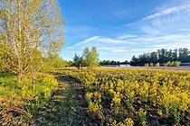 Biosphoto | 2602155 | Landscape of the Loire Valley Nature Reserve, Pouilly region, Nièvre, France | &copy; Pierre Vernay / Biosphoto
