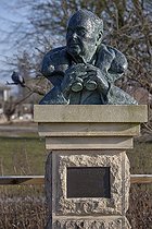 Biosphoto | 1251048 | Lapwings flock WWT Slimbridge Reserve UK | &copy; Michel Gunther / Biosphoto