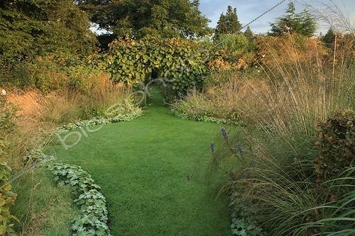 Biosphoto | 754155 | Lawn and path of garden edging massifs of flowers France | &copy; Hervé Lenain / Biosphoto
