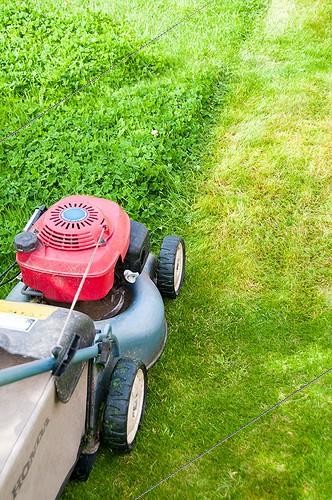 Biosphoto | 2011930 | Lawn mower in a garden | &copy; Yann Avril / Biosphoto