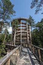 Biosphoto | 2487501 | Le Chemin des Cimes, tour panoramique de 29 mètres en été, Alsace, France | &copy; Yann Avril / Biosphoto