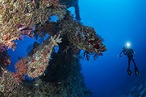 Biosphoto | 2583346 | Le SS Dunraven, un navire à voile et à vapeur, a été construit à Newcastle et lancé le 14 décembre 1872. Trois ans plus tard, en janvier 1876, il quitte Liverpool, chargé d'acier et de bois, à destination de Bombay. Là, la cargaison est vendue et rechargée d'épices, de coton et de mousseline pour le voyage de retour. Le 25 avril, le navire s'échoue sur un récif à l'extérieur de Sha'ab Mahmoud, qui fait aujourd'hui partie du parc national de Ras Muhammad (Raas Mohammed). | &copy; Sergio Hanquet / Biosphoto