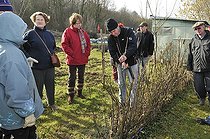 Biosphoto | 1254377 | Learning the pruning ornemental shrubs in winter France | &copy; Denis Bringard / Biosphoto