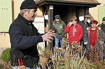 Biosphoto | 1254379 | Learning the pruning ornemental shrubs in winter France | &copy; Denis Bringard / Biosphoto