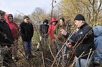 Biosphoto | 1254376 | Learning the pruning shrubs berries in winter France | &copy; Denis Bringard / Biosphoto