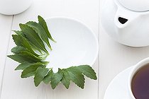 Biosphoto | 1251196 | Leaves of Stevia in a dish and teapot | &copy; Frédérique Bidault / Biosphoto