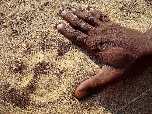 Biosphoto | 1518090 | Leopard track, Okomitundu Game Farm, Wilhelmstal, Namibia | &copy; Fabian von Poser / imageBROKER / Biosphoto