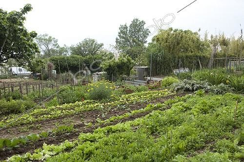 Biosphoto | 1201190 | Les Jardins ouvriers des Aygalades au printemps à Marseille | &copy; Philippe Giraud / Biosphoto
