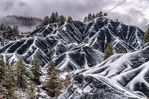 Biosphoto | 2462017 | Les Terres Noires de Robine sur Galabre under the snow. Jurassic (Toarcian) marls rich in organic matter, tender and very sensitive to gullying, colonized mainly by Scots pines and forming remarkable reliefs in the Digne Geological Reserve, Alpes de Haute Provence, France. | &copy; Jean-Philippe Delobelle / Biosphoto