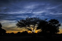 Biosphoto | 2601813 | Lever de soleil, région d'Otjiwarongo, Namibie, Afrique | &copy; Alain Roux / Biosphoto