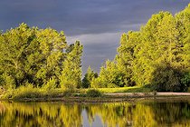 Biosphoto | 2602167 | Lever de soleil sur une île de la Loire dans la réserve naturelle du val de Loire, France | &copy; Pierre Vernay / Biosphoto