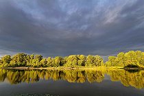 Biosphoto | 2602168 | Lever de soleil sur une île de la Loire dans la réserve naturelle du val de Loire, France | &copy; Pierre Vernay / Biosphoto