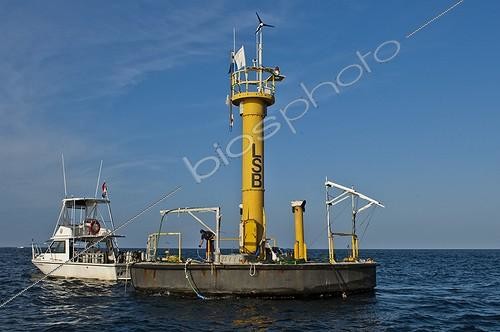 Biosphoto | 1934223 | Life Support Buoy and Ocean Observing Platform - Floride ; Power generation, air compressors, wireless communications/telemetry array, and ocean observing capabilities including water temperature, salinity, chlorophyll, waves, and currents. semi–autonomous (unmanned) Life Support Buoy (LSB) provided by NOAA’s National Data Buoy Center. The LSB is a large discus buoy, 30 feet in diameter, and hosts generators for power, compressors for air, and a telemetry communications system. | &copy; Christoph Gerigk / Biosphoto