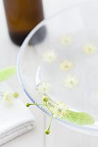 Biosphoto | 1251543 | Linder water used for body care | &copy; Frédérique Bidault / Biosphoto