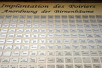 Biosphoto | 2067046 | List of varieties of pear , pear panel layout , Orchard conservatory pears Gunstett , Alsace, France | &copy; Denis Bringard / Biosphoto