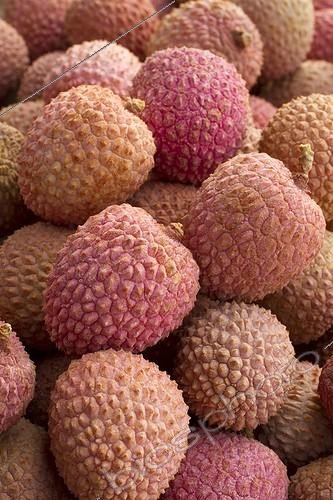 Biosphoto | 2075777 | Litchi (Litchi sinensis) | &copy; Frédéric Tournay / Biosphoto