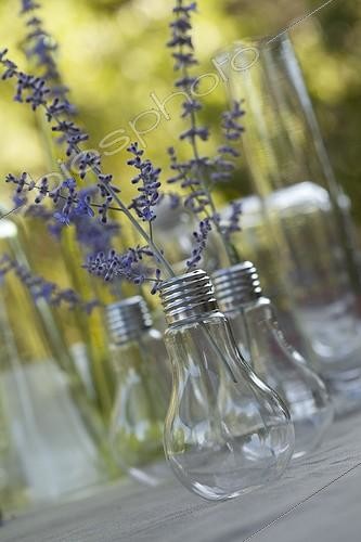 Biosphoto | 1367563 | Little bouquet of lavender in bulbs | &copy; Philippe Giraud / Biosphoto