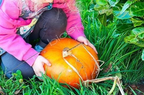 Biosphoto | 2011928 | Little girl harvesting a potiron squash in a kitchen garden | &copy; Yann Avril / Biosphoto
