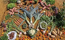 Biosphoto | 2587984 | Local fruit and vegetables on display at an agricultural show, Sarthe, France | &copy; Michel Gile / Biosphoto