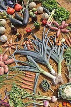 Biosphoto | 2587985 | Local fruit and vegetables on display at an agricultural show, Sarthe, France | &copy; Michel Gile / Biosphoto