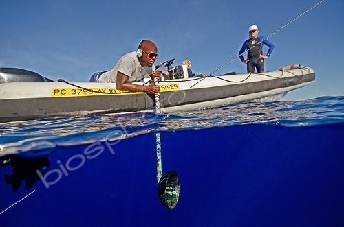Biosphoto | 1358205 | Location of the Sperm whales with a hydrophone | &copy; Gérard Soury / Biosphoto