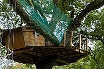 Biosphoto | 1251183 | Lovers Shed on a 130 years-old Oak at 8 meters high | &copy; Franck Fouquet / Biosphoto