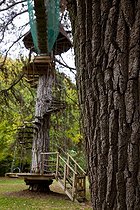 Biosphoto | 1251186 | Lovers Shed on a 130 years-old Oak at 8 meters high | &copy; Franck Fouquet / Biosphoto