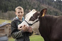 Biosphoto | 2561132 | Lucas, 15 years old, posing with an abondance cow outside, La Clusaz, Haute-Savoie, France. EDITORIAL ONLY. Photograph by Antoine Boureau. | &copy; Antoine Boureau / Biosphoto