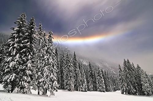Biosphoto | 720878 | Lunar Halo and stratus in a snowy forest Alpes France  | &copy; Christophe Suarez / Biosphoto