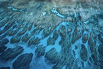 Biosphoto | 2547000 | M`Tsamboro Reef. The coral reefs form 