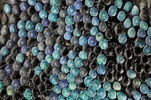 Biosphoto | 1716636 | Macrophotography of scales of the thorax of a weevil ; These weevils are among the most colorfull ones in the world | &copy; Francisco Javier Torrent Andres / Visual and Written - Photo Collection / Biosphoto