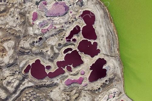 Biosphoto | 1370312 | Magado Crater Nyambeni mountain range Kenya ; Magado Crater is located at the northeast tip of the Nyambeni mountain range. A small lake on the floor of Magado crater evaporates to form a soda salt crust. The Meru people have been collecting soda in this crater for thousands of years. In the rainy season, the Meru people water their cattle in the basin. | &copy; Martin Harvey / Biosphoto