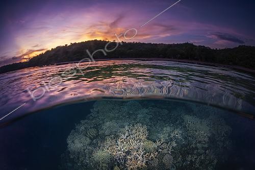 Biosphoto | 2619333 | Magnifique coucher de soleil sur la plage de Saziley, à l'extrême sud de Mayotte. Un endroit où la nature est encore sauvage et le récif frangeant bien épargné des catastrophes naturelles de 2025. | &copy; Gabriel Barathieu / Biosphoto