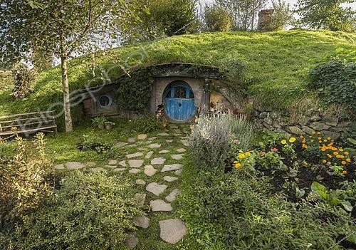 Biosphoto | 2435380 | Maison de Hobbit à la porte bleue, Hobbiton, décor et lieu du tournage du  Seigneur des Anneaux  et du  Hobbit , Matamata, île du Nord, Nouvelle-Zélande | &copy; Gerhard Zwerger-Schoner / imageBROKER / Biosphoto