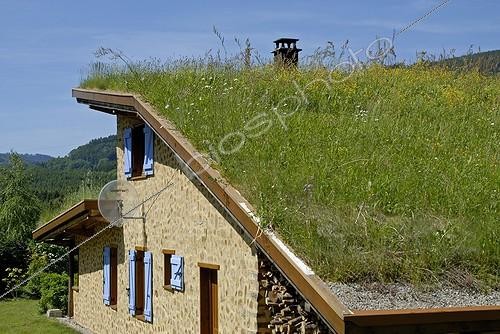 Biosphoto | 163812 | Maison végétale avec toit planté vers Gérardmer  ; murs en bois corde buches de bois assemblees avec sciure sable chaux et laine mouton le toit est couvert de terre et vegetaux | &copy; Denis Bringard / Biosphoto