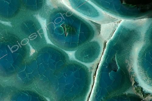 Biosphoto | 597971 | Malachite Chrysocolle Zaïre ; @ Malachite | &copy; André Pascal / Biosphoto