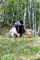 Biosphoto | 1254291 | Man picking mushrooms in the undergrowth France | &copy; Bruno Mathieu / Biosphoto