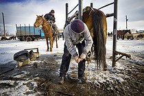 Biosphoto | 1254254 | Man shoeing his horse to animal market  | &copy; Santiago Vidal / Visual and Written - Photo Collection / Biosphoto
