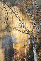 Biosphoto | 2436465 | Man treating an apricot tree in winter. Treatment of an apricot tree in winter with an organic product (emulsified vegetable oil) | &copy; Jean-Michel Groult / Biosphoto