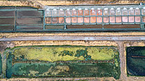 Biosphoto | 2610043 | Marais salant de l'ile de Ré. Oeillets et bassins d'évaporation pour l'extraction du sel dans les marais salants de l'ile de Ré, France | &copy; Christophe Perelle / Biosphoto
