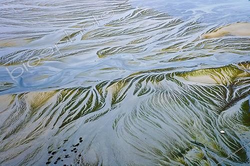 Biosphoto | 815211 | Marée verte envahissant la Baie de la Fresnaye Bretagne ; En bas à droite, un bateau donne l'échelle. <br>Le bassin versant de la baie recouvre plusieurs communes où domine l'élevage hors sol (78%) avec une prédominance des élevages porcins. <br>Il fait partie des bassins versants littoraux bretons touchés par le phénomène d'échouage d'algues vertes. | &copy; Pascal Bourguignon / Biosphoto