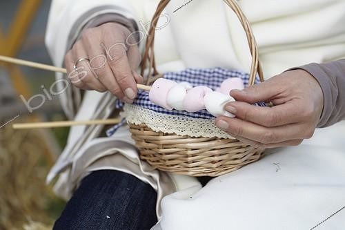 Biosphoto | 1632828 | Marshmallow skewers | &copy; Visions Botanical / Visions Pictures / Biosphoto
