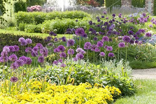 Biosphoto | 2499427 | Massif de fleurs dans un jardin public au printemps | &copy; Visions Pictures / Biosphoto